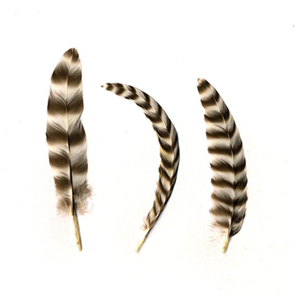 Rooster Chinchilla Rounds - Natural-2-5"