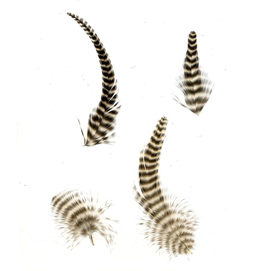 Loose Rooster Chinchilla Natural - 2 - 6"