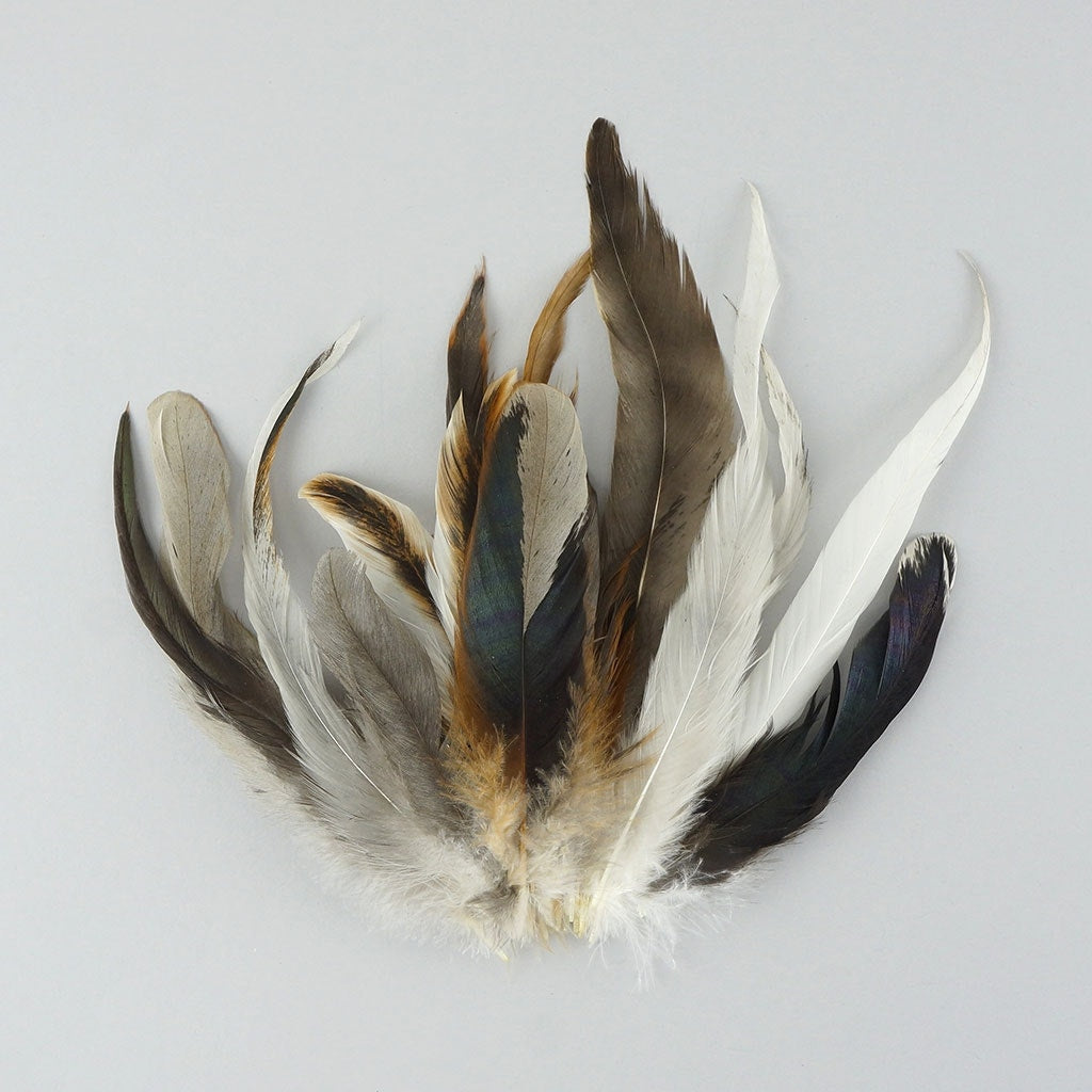 Strung Rooster Coque Assorted - Natural