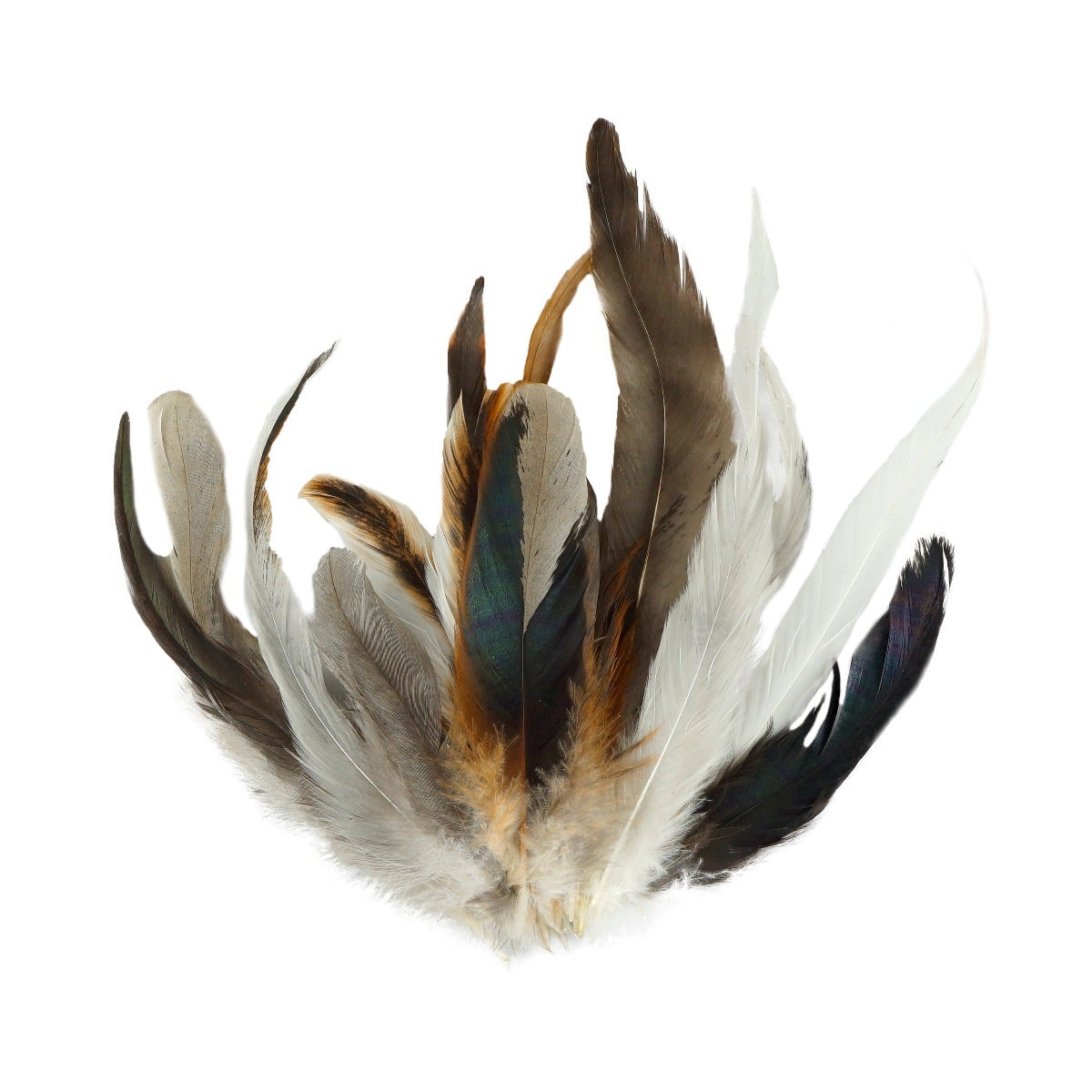 Strung Rooster Coque Assorted - Natural