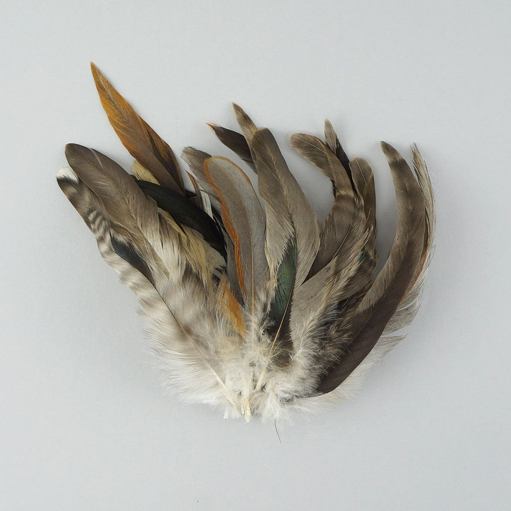 Strung Rooster Coque Assorted - Natural