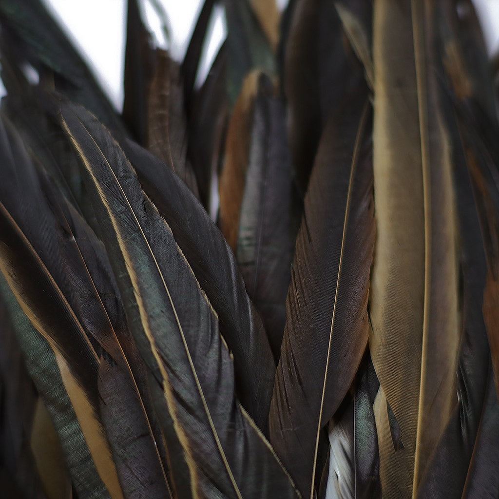 Rooster Coque Tails Feathers Half Bronze Natural 15-18" [1/4 LB Bulk]