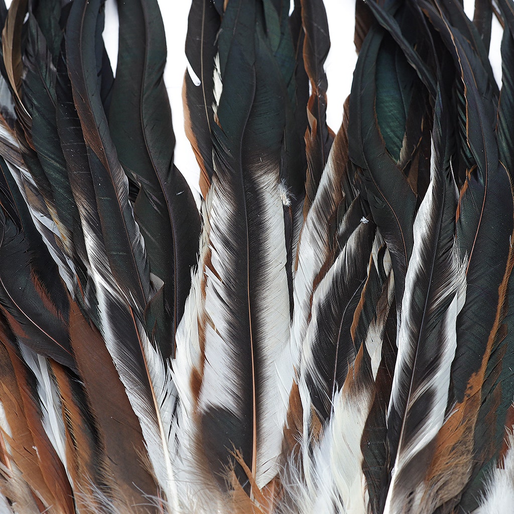 Rooster Coque Tails Feathers Half Bronze Natural 15-18" [1/4 LB Bulk]