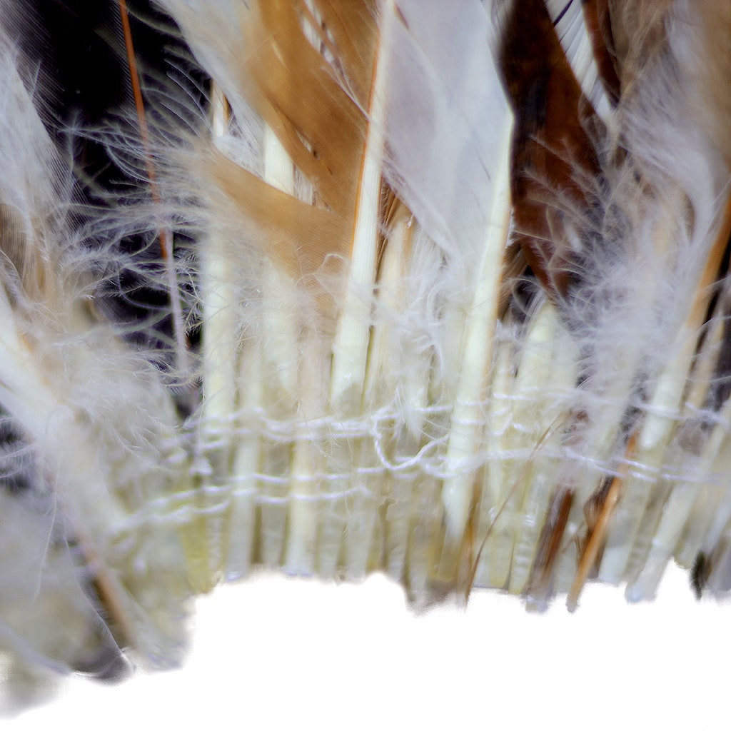 Rooster Coque Tails Feathers Half Bronze Natural 15-18" [1/4 LB Bulk]