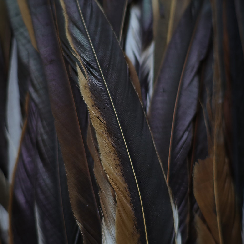 Rooster Coque Tails Feathers Half Bronze Natural 15-18" [1/4 LB Bulk]