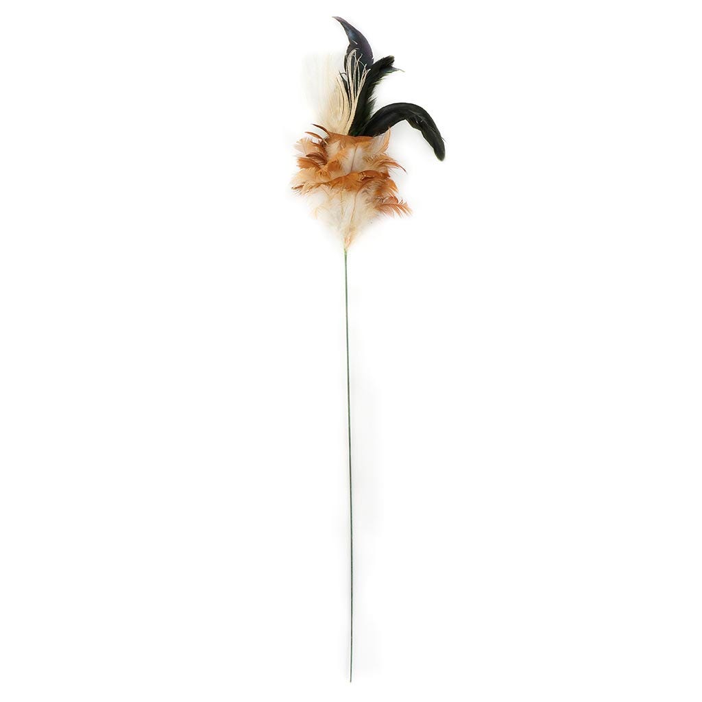 Schlappen - Peacock Floral Stem - EG/HG/N