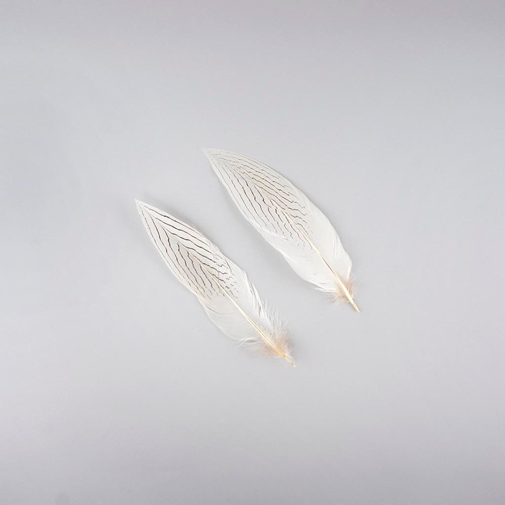 Silver Pheasant Tail Feathers - Natural - 8 - 12"