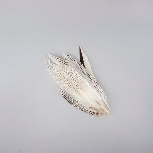 Silver Pheasant Tail Feathers - Natural - 8 - 12"