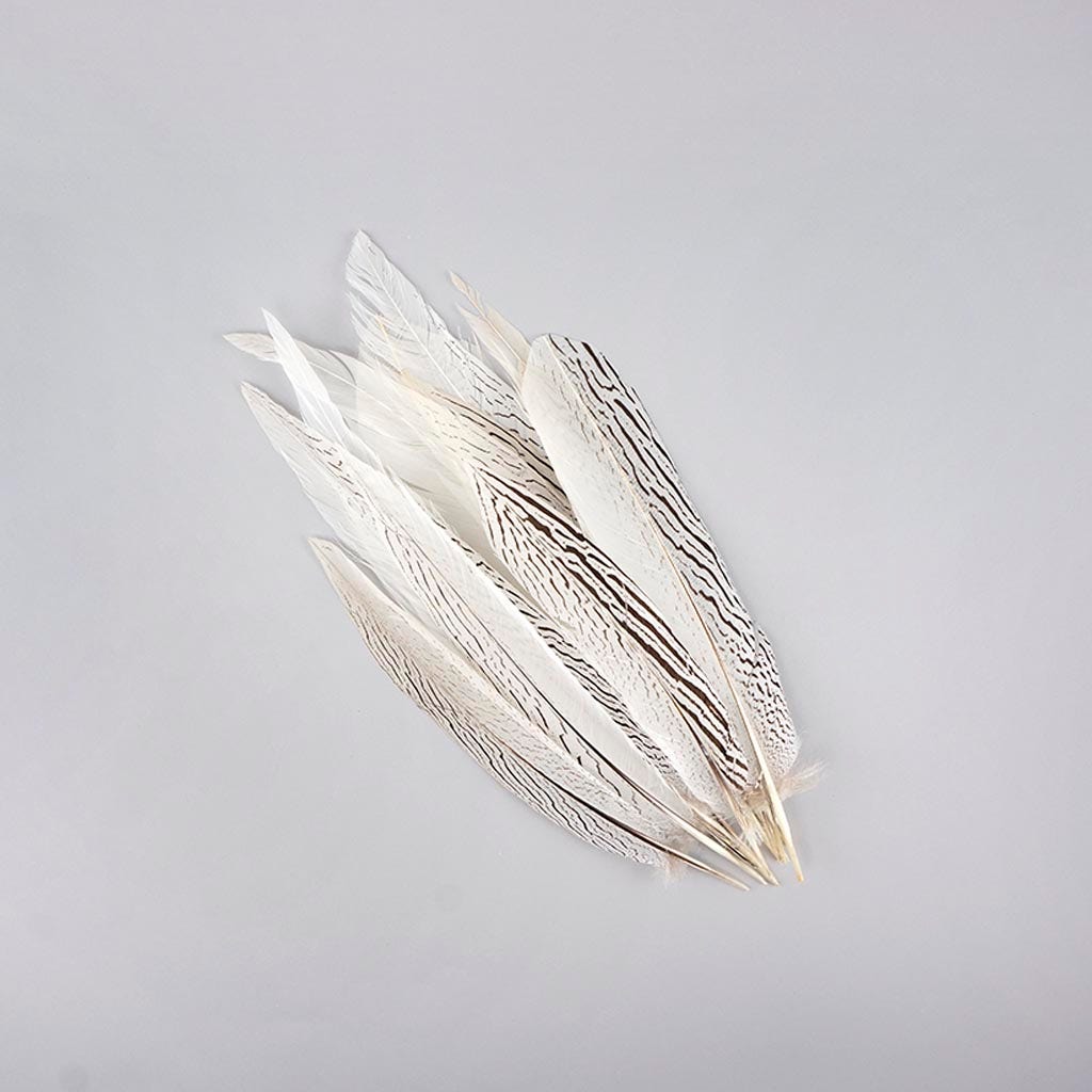 Silver Pheasant Tail Feathers - Natural