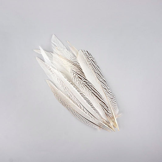 Silver Pheasant Tail Feathers - Natural