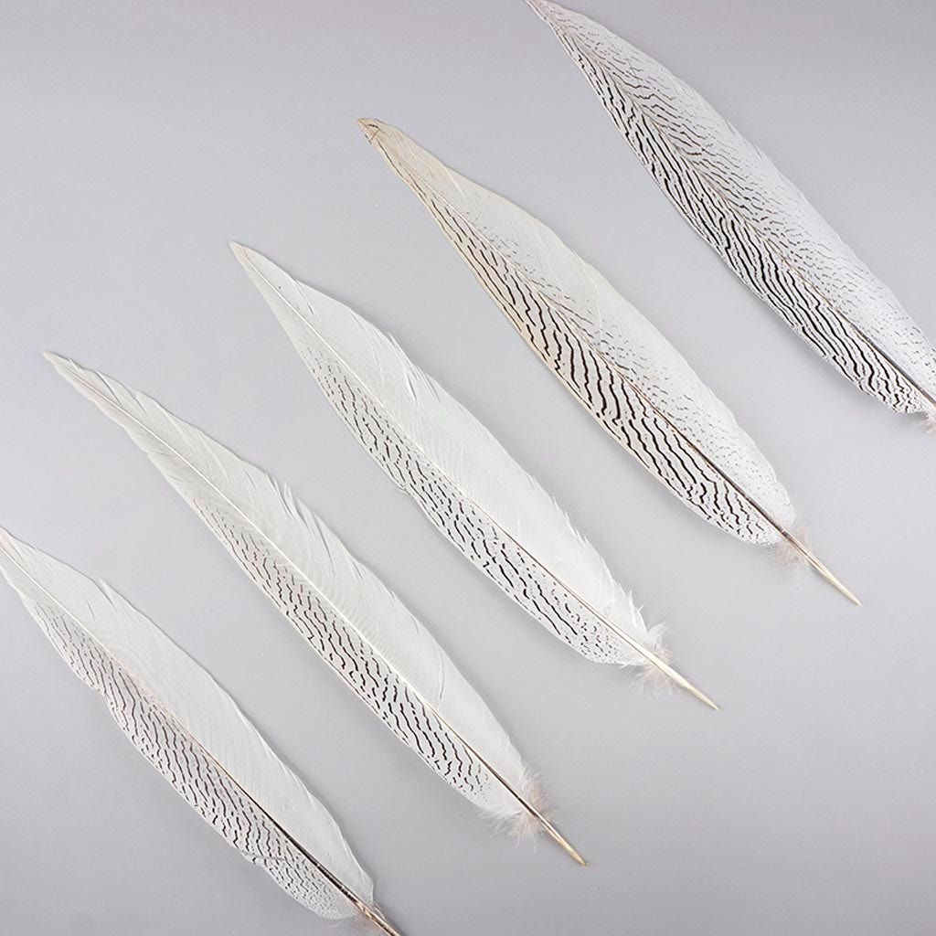 Silver Pheasant Tail Feathers - Natural - 16 - 20"
