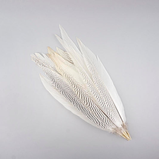 Silver Pheasant Tail Feathers - Natural - 16 - 20"