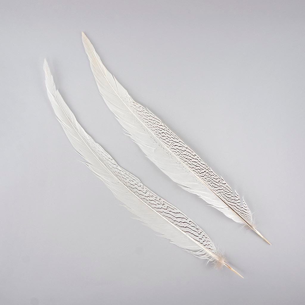 Silver Pheasant Tail Feathers - Natural - 20 - 25"