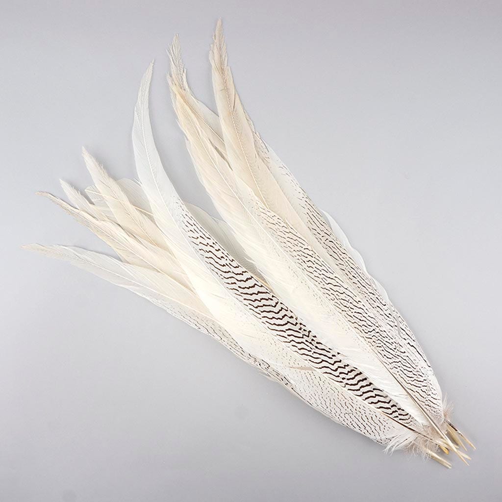 Silver Pheasant Tail Feathers - Natural - 20 - 25"