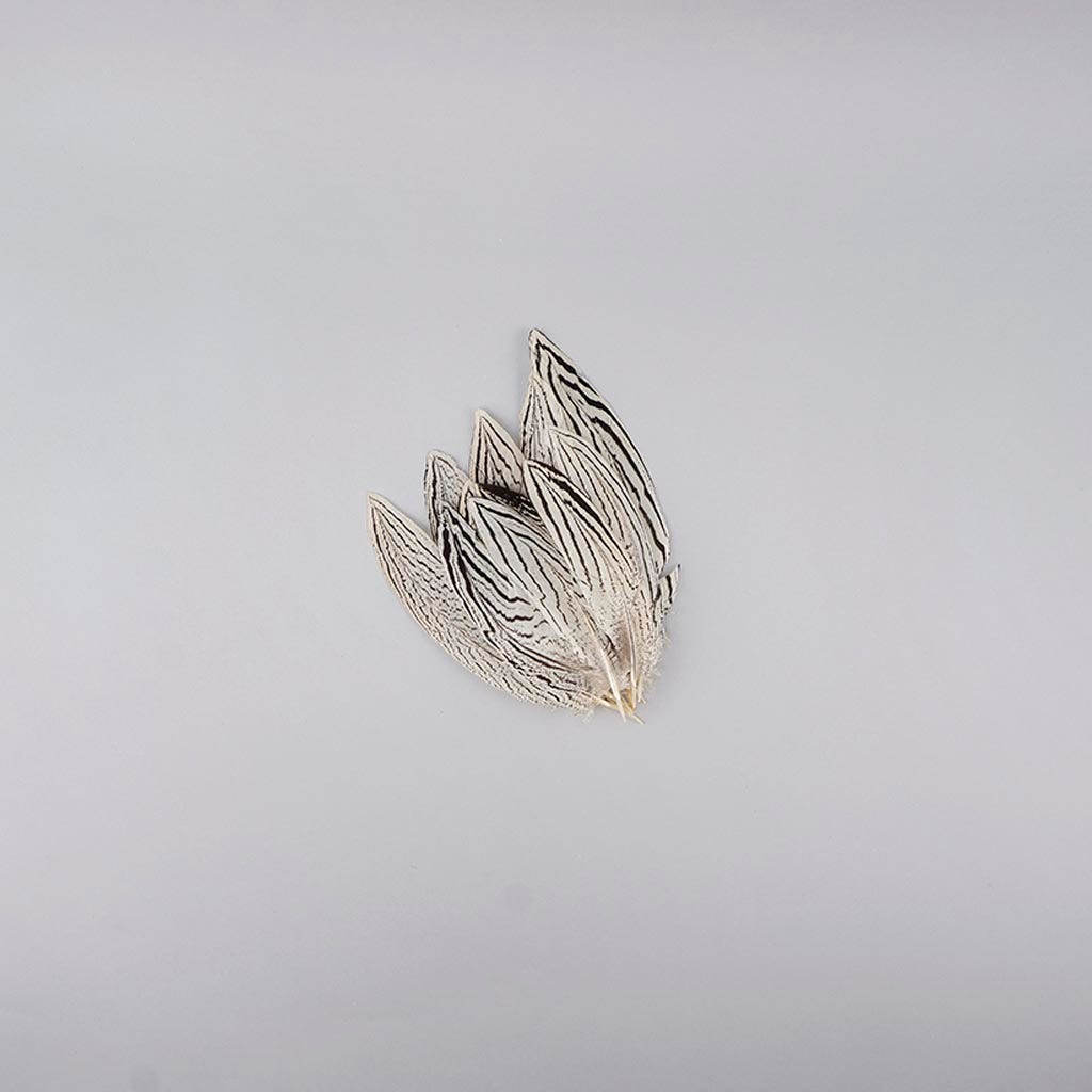 Silver Pheasant Tail Feathers - Natural