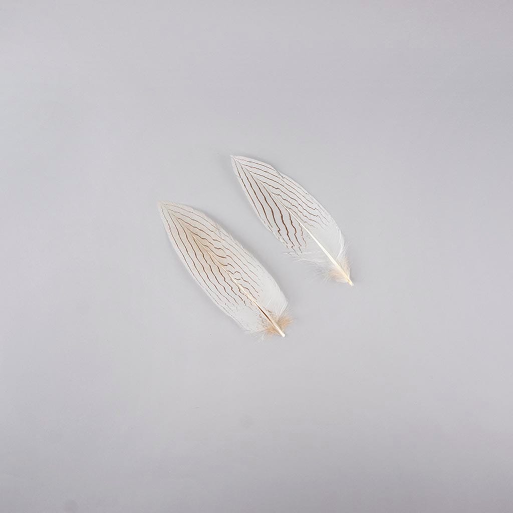 Natural Silver Pheasant Tail Feathers 6-8" 12 pcs