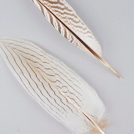 Natural Silver Pheasant Tail Feathers 6-8" 12 pcs