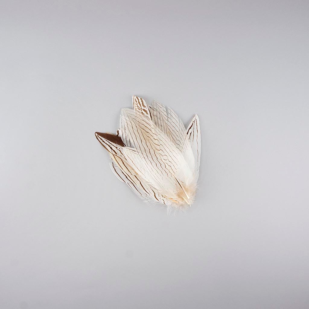 Natural Silver Pheasant Tail Feathers 6-8" 12 pcs