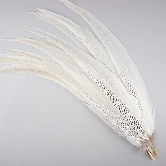 Silver Pheasant Tail Feathers - Natural