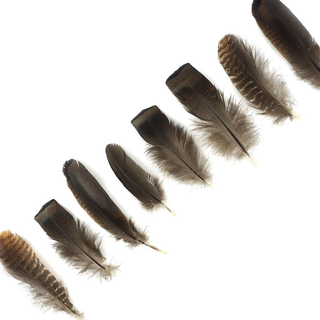 Turkey Rounds Bronze Feathers - Natural