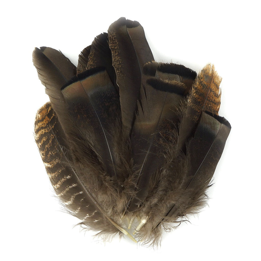 Turkey Rounds Bronze Feathers - Natural