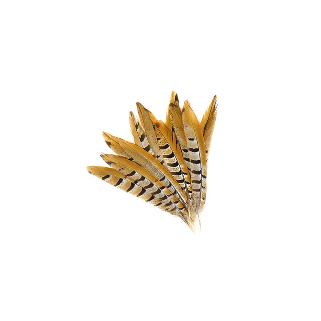 Venery Pheasant Tails - Natural - 8 - 12"