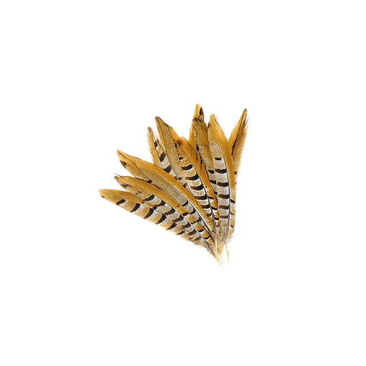 Venery Pheasant Tails - Natural - 8 - 12"
