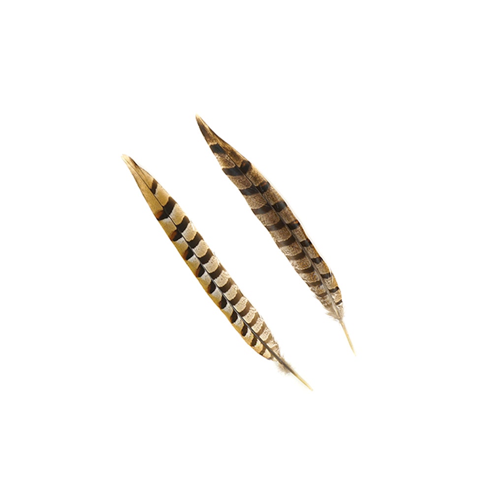 Venery Pheasant Tails - Natural - 12 - 16"
