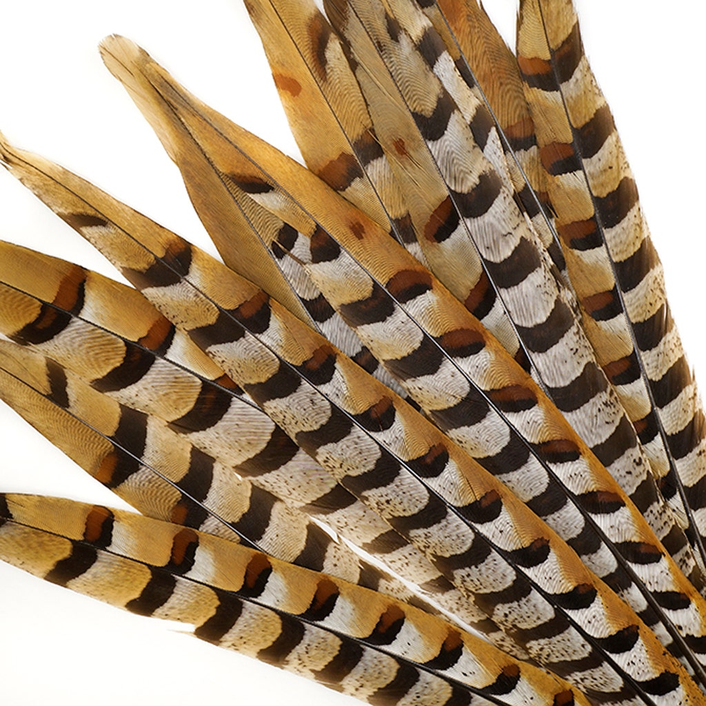 Venery Pheasant Tails - Natural - 12 - 16"