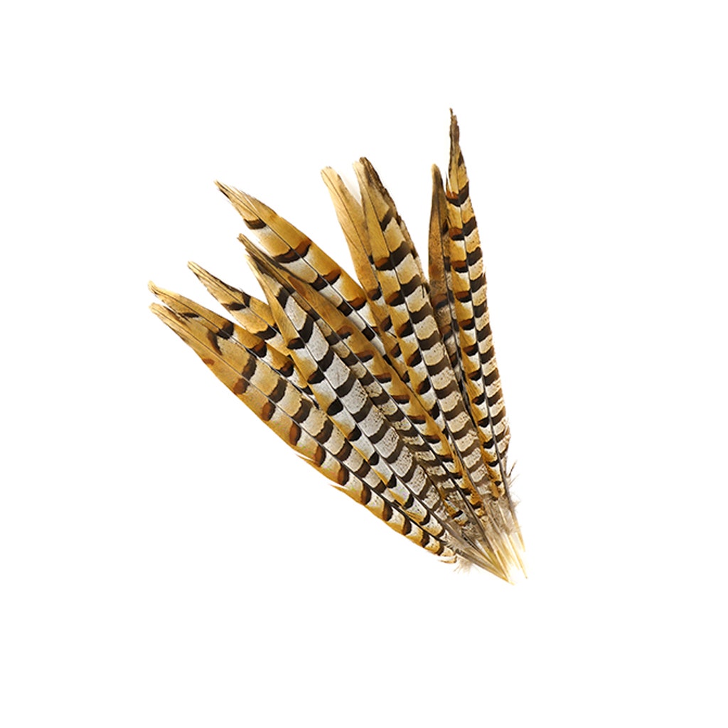 Venery Pheasant Tails - Natural - 12 - 16"