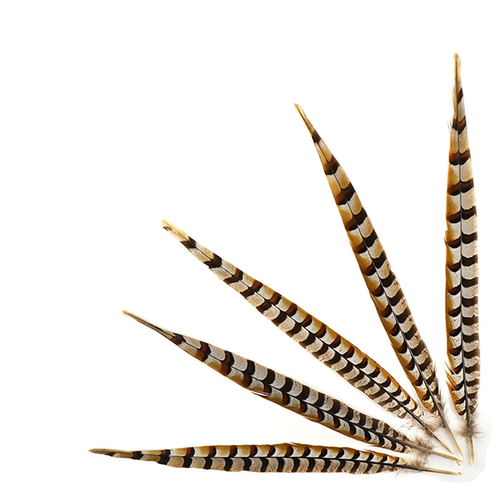 Venery Pheasant Tails - Natural - 16 - 20"