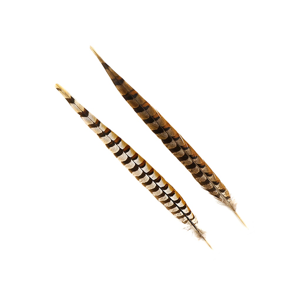 Venery Pheasant Tails - Natural - 16 - 20"