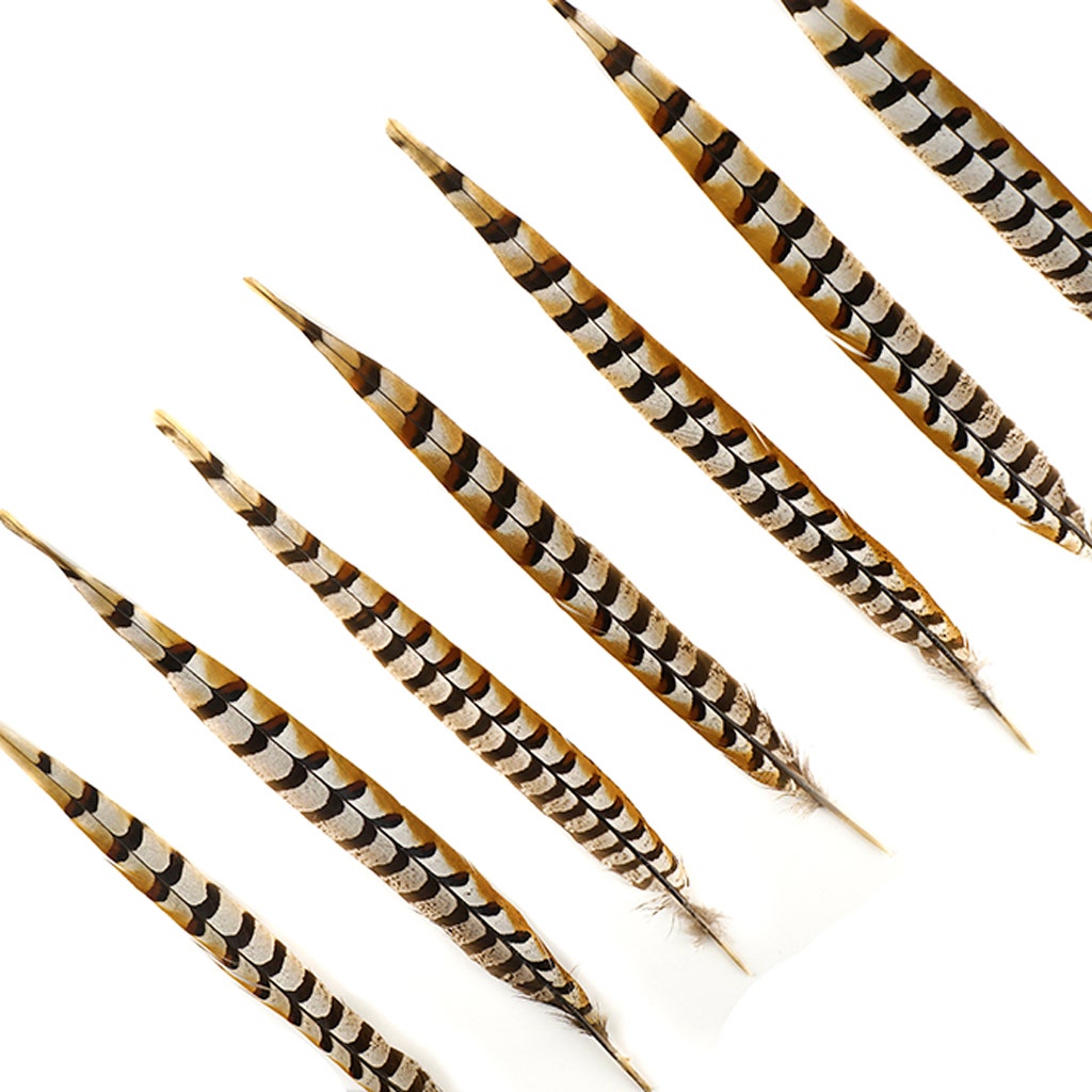 Venery Pheasant Tails - Natural - 16 - 20"