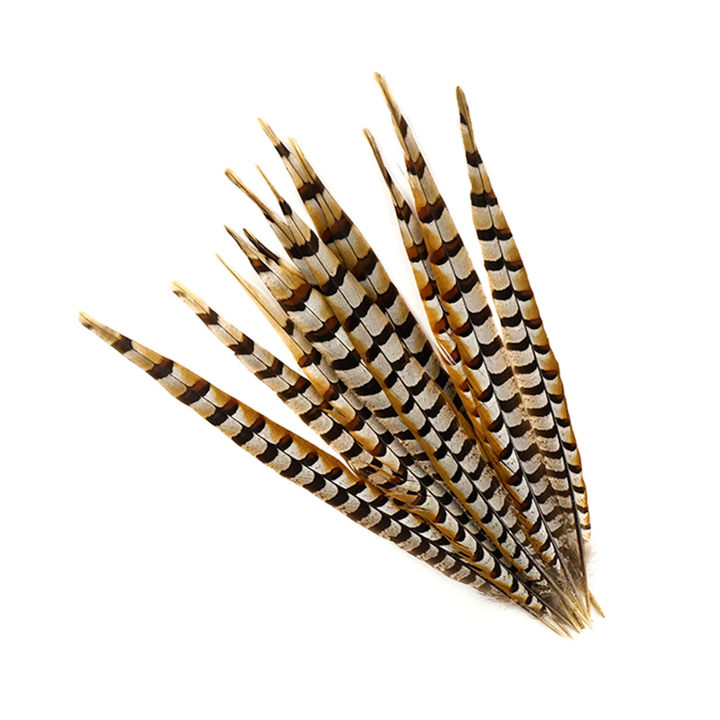 Venery Pheasant Tails - Natural - 16 - 20"