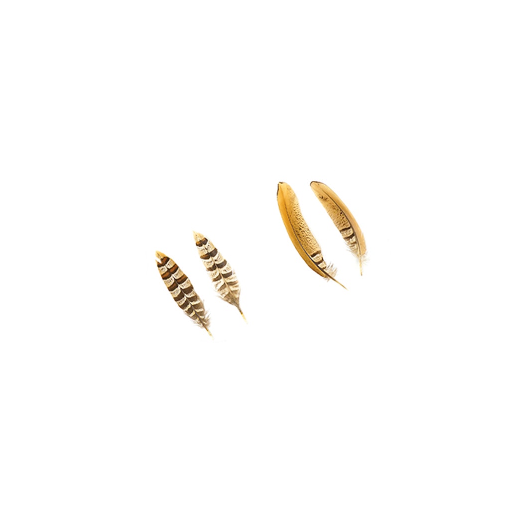 Venery Pheasant Tails - Natural - 4 - 6"