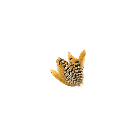 Venery Pheasant Tails - Natural - 4 - 6"