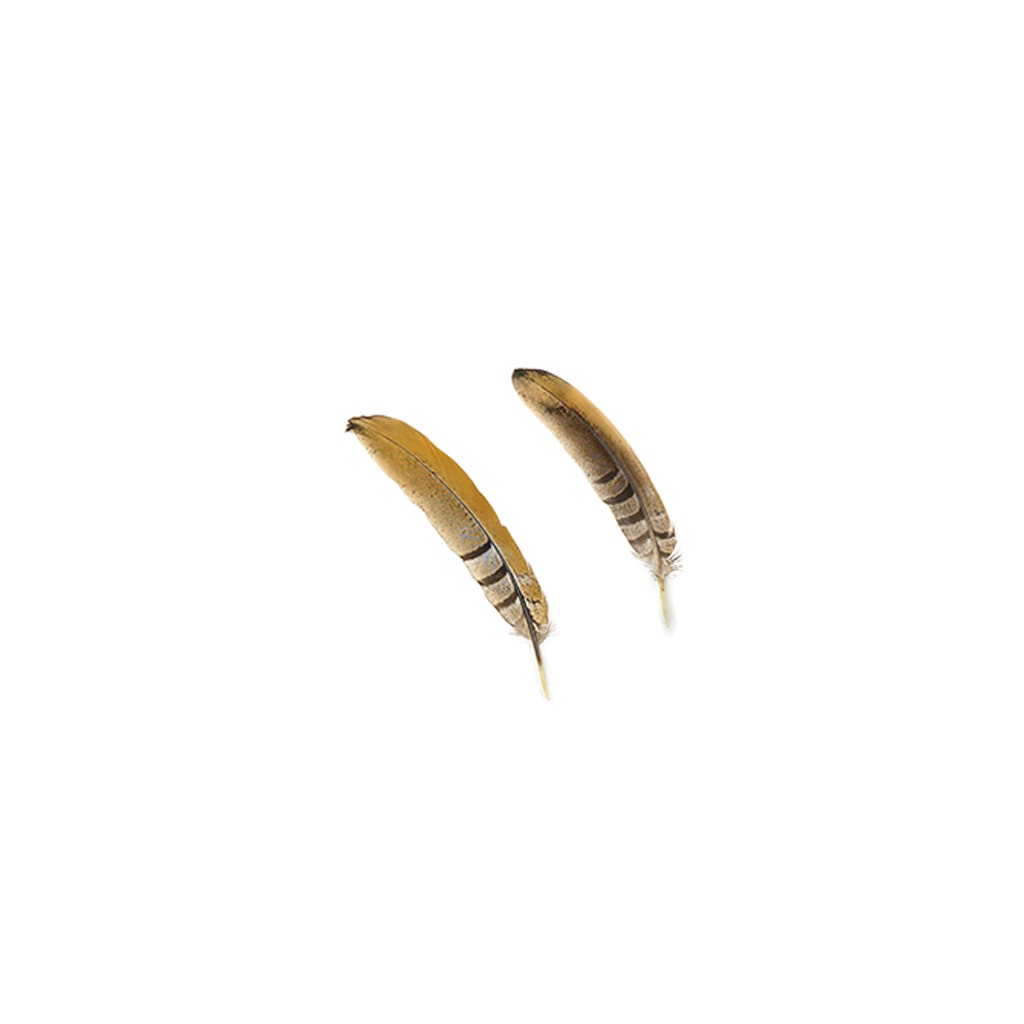 Venery Pheasant Tails - Natural - 6 - 8"