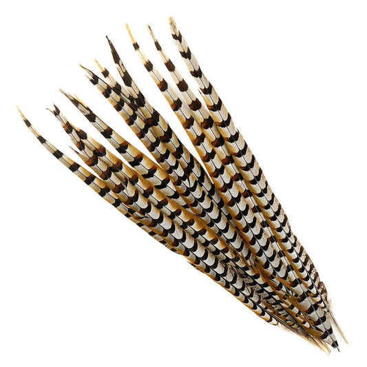 Venery Pheasant Tails - Natural - 20 - 30"
