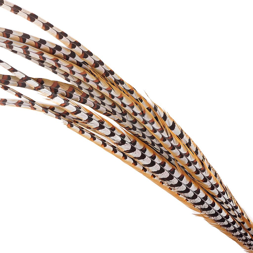 Venery Pheasant Tails - Natural - 40 - 50"