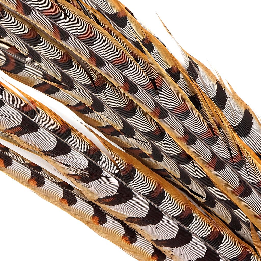 Venery Pheasant Tails - Natural - 40 - 50"