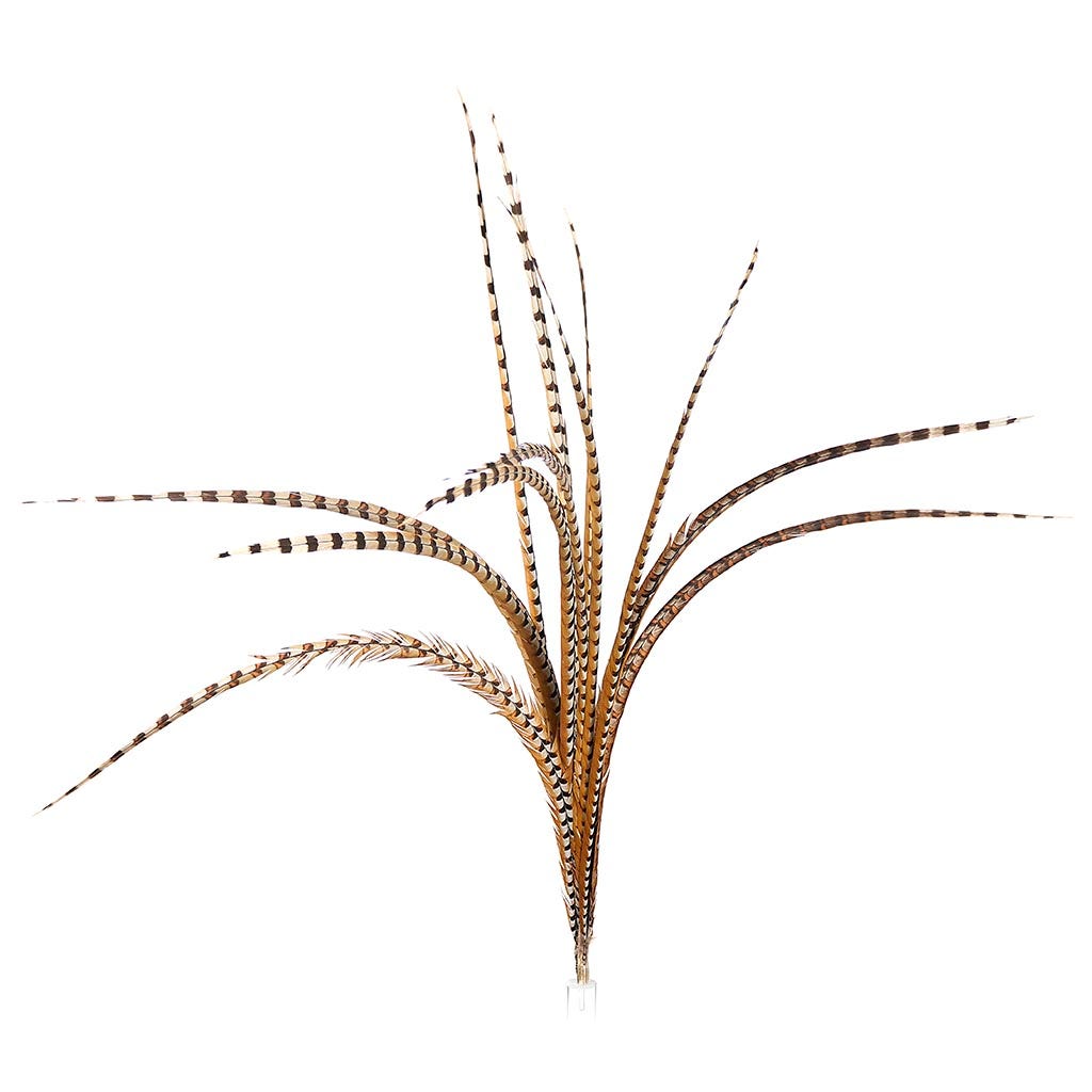 Venery Pheasant Tails - Natural - 40 - 50"