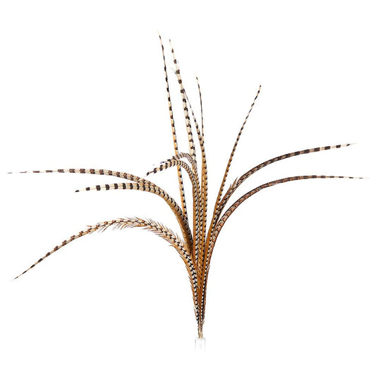 Venery Pheasant Tails - Natural - 40 - 50"