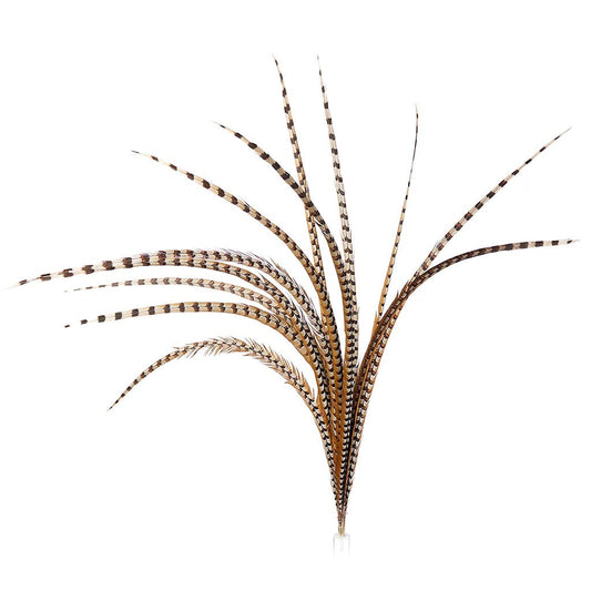 Venery Pheasant Tails - Natural - 50 - 60"