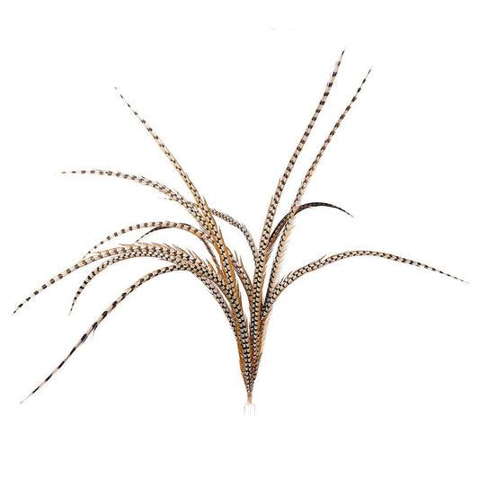 Venery Pheasant Tails - Natural - 60" and Up