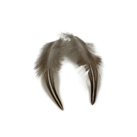 Jungle Cock Natural Black and White Plum Loose 1-3" 10 PC/PKG