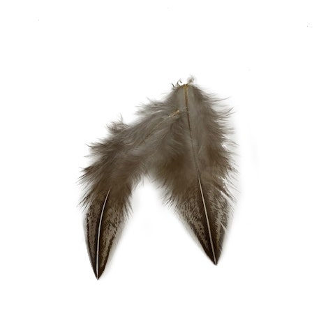 Jungle Cock Natural Black and White Plum Loose 1-3" 10 PC/PKG