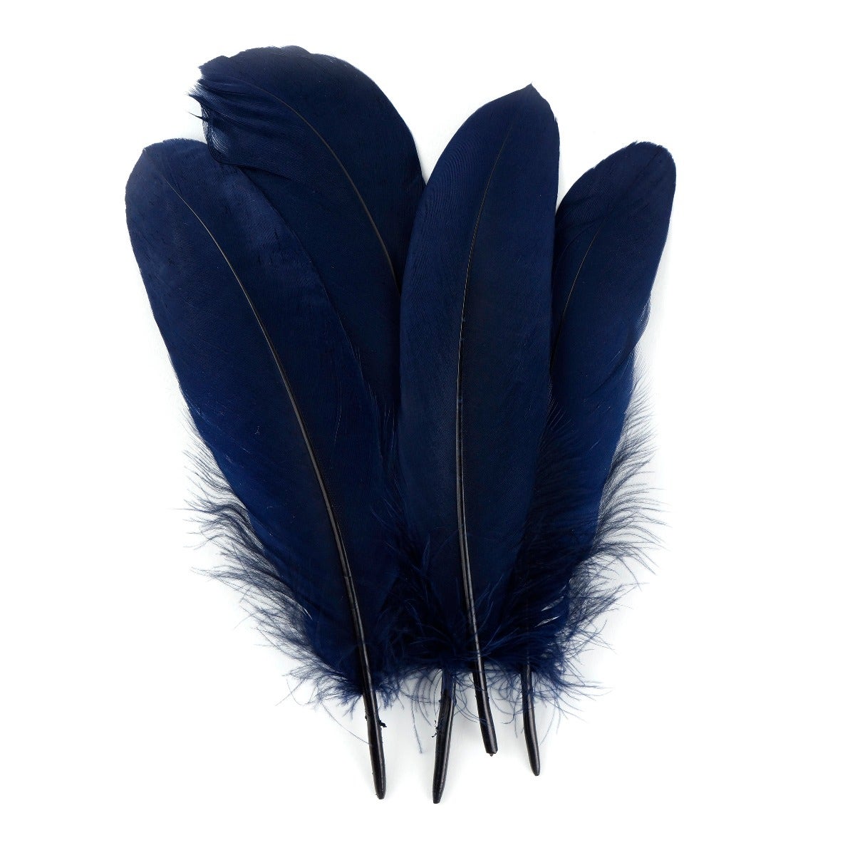 Goose Pallet Feathers 6-8" - 12 pc - Navy