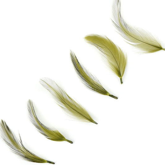 Rooster Hackle-Dyed - Olive