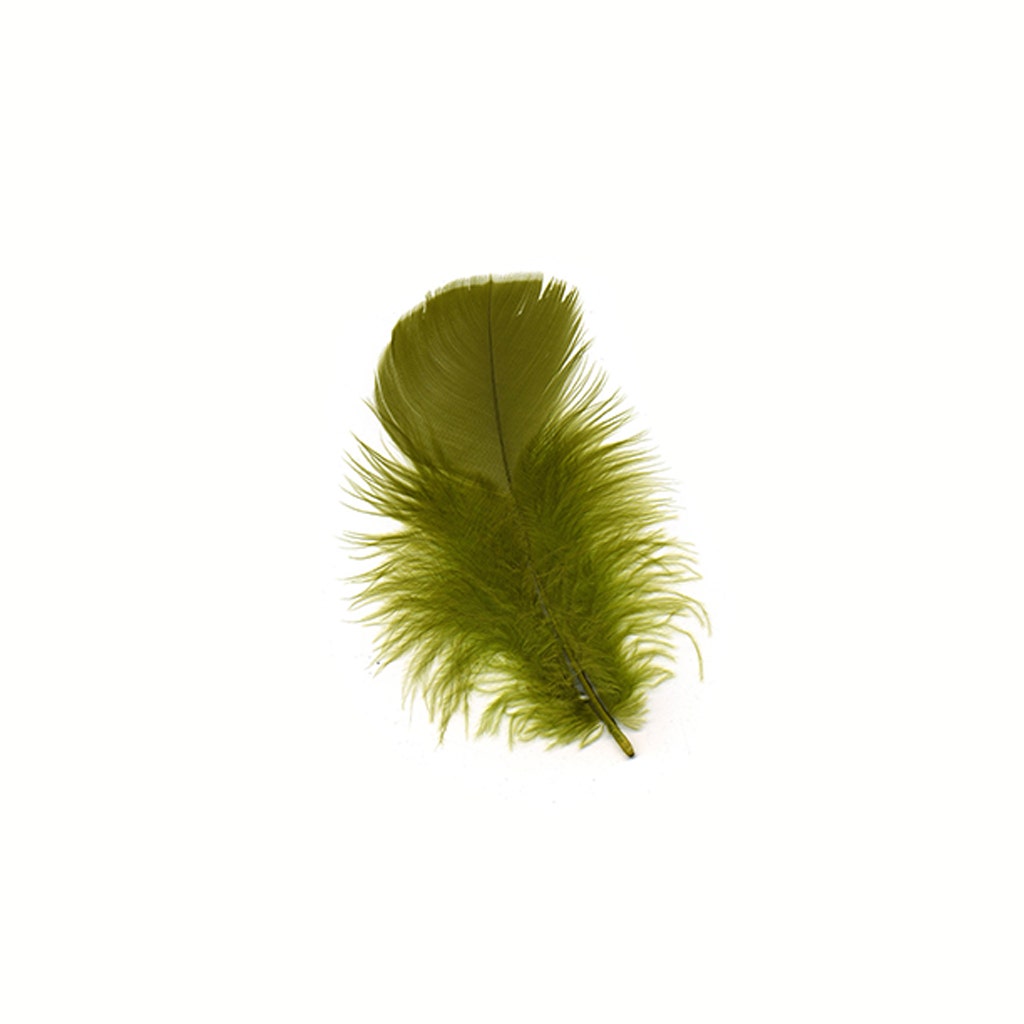 Loose Turkey Plumage Feathers - 1/4 lb - Olive
