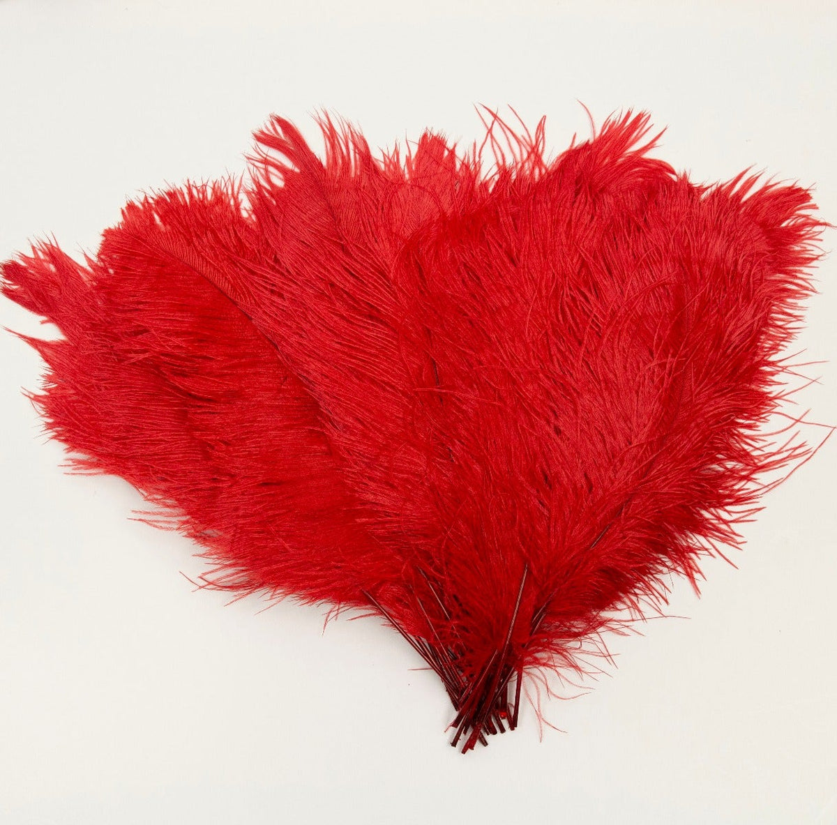 Ostrich Tails 16-18 inch - 30 PC - Red